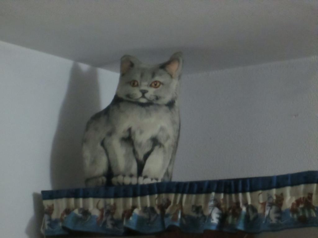 شقة Cat'S House ليدو دي أوستيا الغرفة الصورة